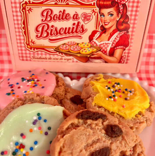 Boîte à biscuits (Nouveauté)